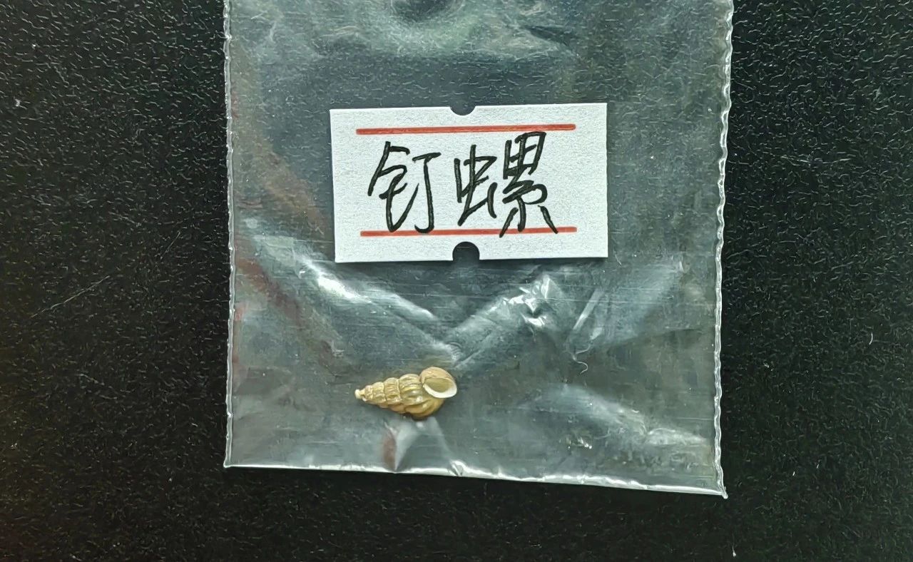 微信图片_20250519110100.jpg