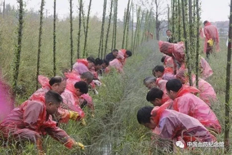 传承血防精神，巩固血防成果。余江査螺日，我们在行动！