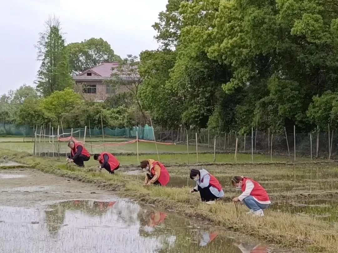 微信图片_20220429180512.jpg